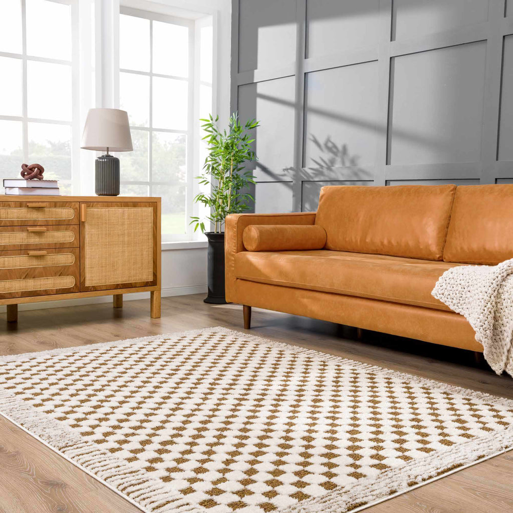 Leryn Brown Checkered Plush Rug