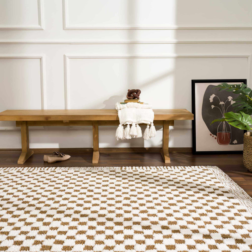 Leryn Brown Checkered Plush Rug
